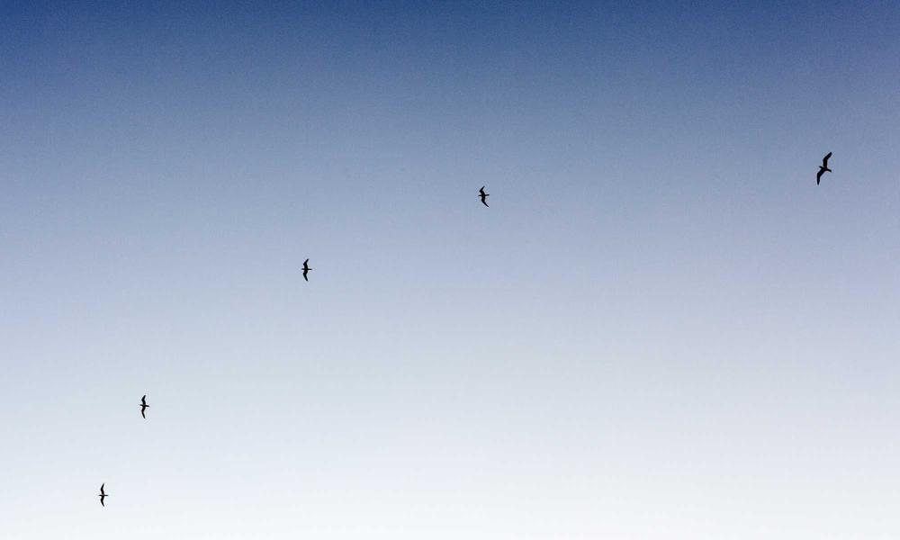 Nomad Listen